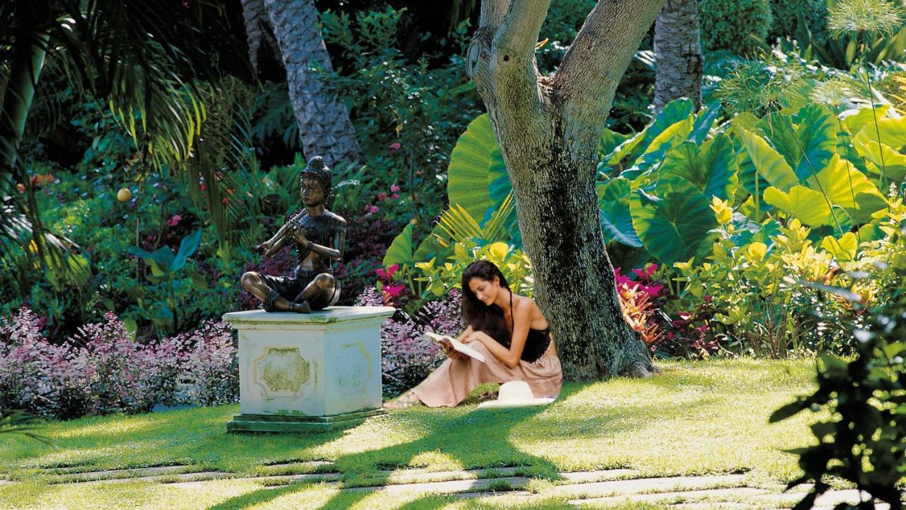 ホテル ボタニコ イ オリエンタル スパ ガーデン プエルト・デ・ラ・クルス エクステリア 写真 A student studying in the gardens